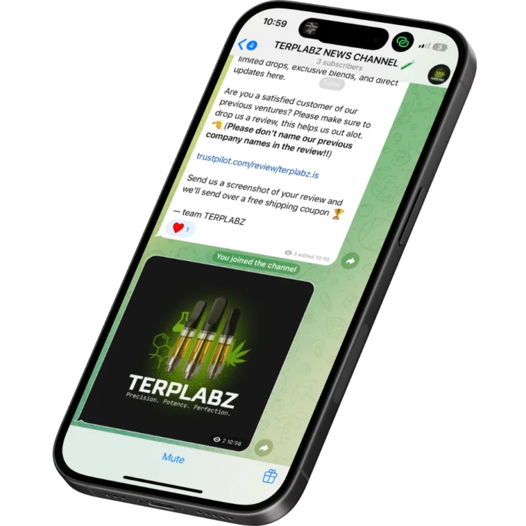 terplabz telegram channel displayed