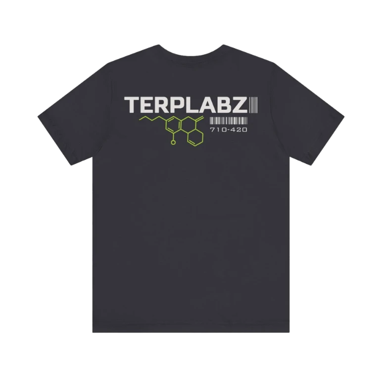 TERPLABZ Classic Tee | Unisex 4 TERPLABZ Classic Tee | Unisex - Image 2