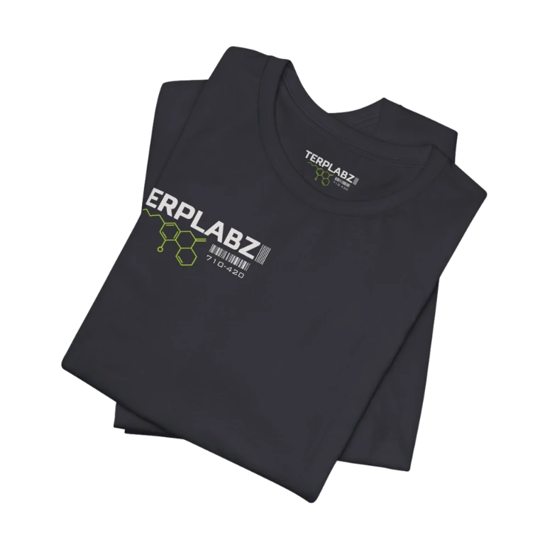 TERPLABZ Classic Tee | Unisex 5 TERPLABZ Classic Tee | Unisex - Image 3