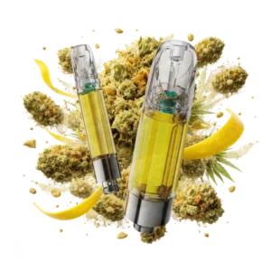 Amnesia Haze | Δ9 | Sativa | TERPLABZ