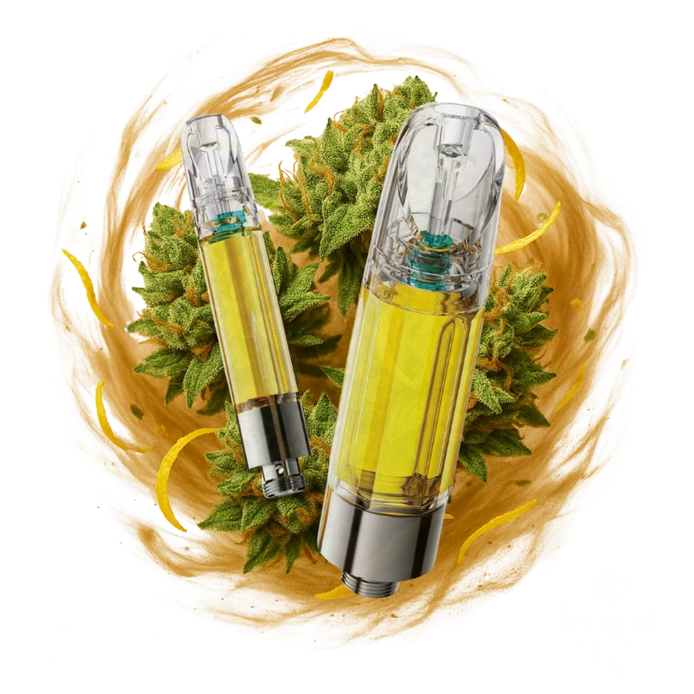 Amnesia Haze | Δ9 | Sativa | TERPLABZ 3 Amnesia Haze | Δ9 | Sativa | TERPLABZ