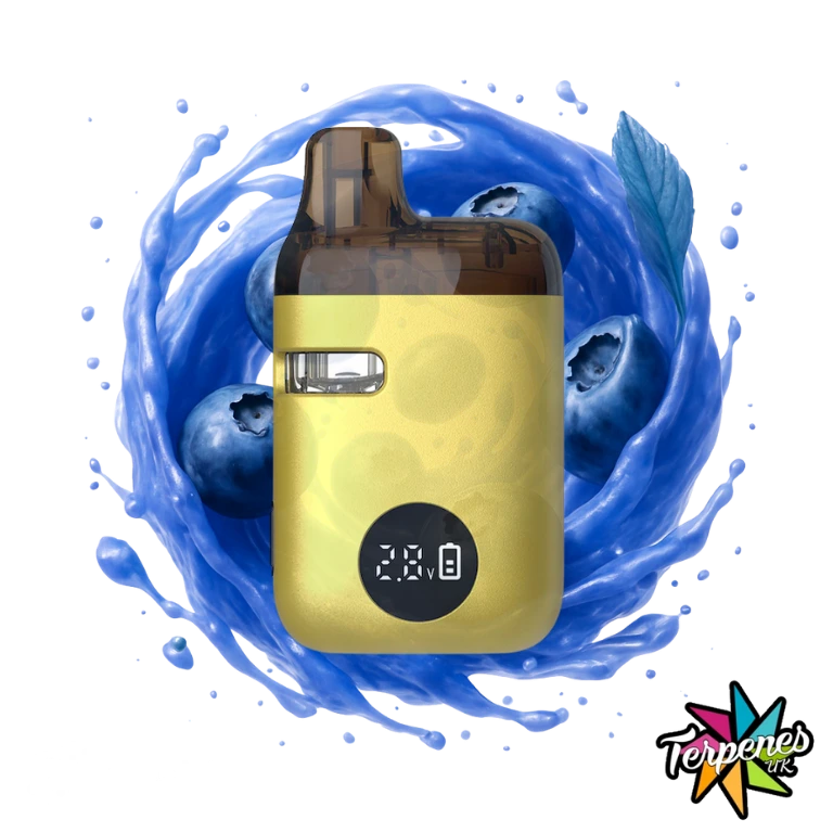 Blue Dream | Δ9/CBD | Sativa | TERPLABZ 4 Blue Dream | Δ9/CBD | Sativa | TERPLABZ - Image 2