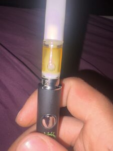 Lemon Drops | Sativa | Δ9 bomb | TERPLABZ