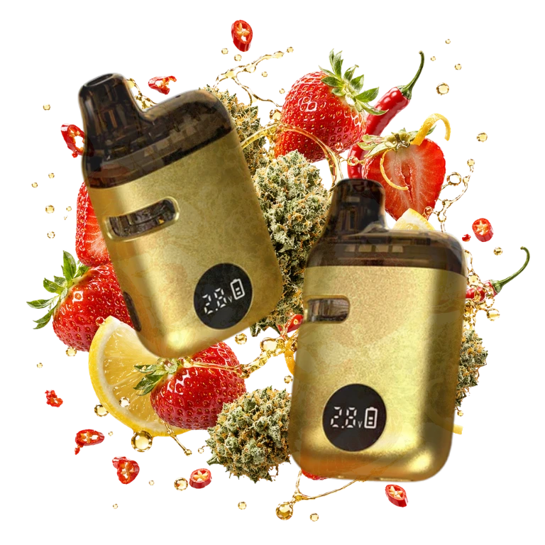 Strawberry Haze | Δ9 | Sativa | TERPLABZ 3 Strawberry Haze | Δ9 | Sativa | TERPLABZ