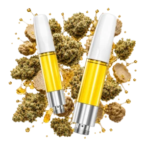 White Truffle | Δ9 Live resin | Hybrid/Indica | TERPLABZ