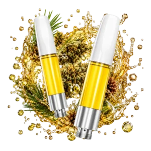 Amnesia | Δ9 | Sativa | TERPLABZ
